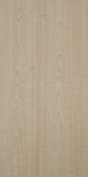 GM12-2089 FRENCH SYCAMORE