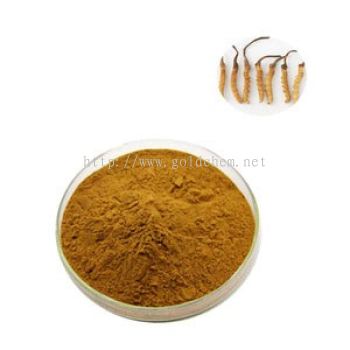 Cordycep Sinensis Extract Powder