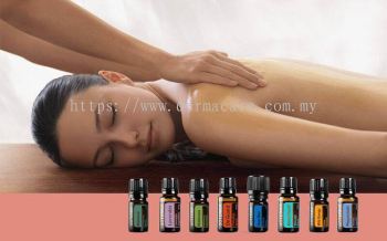 Wellness Aroma Body Massage Treatment 