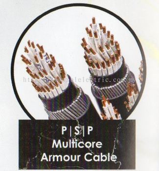 Utama P/S/P Multicore Armour Cable