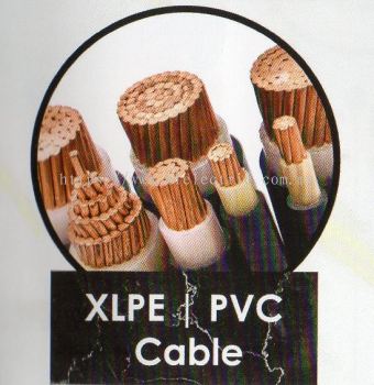 Double PVC Cable-XLPE/PVC