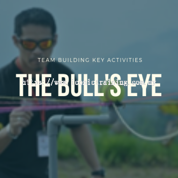 The Bulls Eye