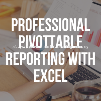 Professional PivotTable Reporting with Excel