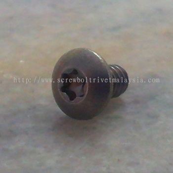 Stainless Steel Screw T20