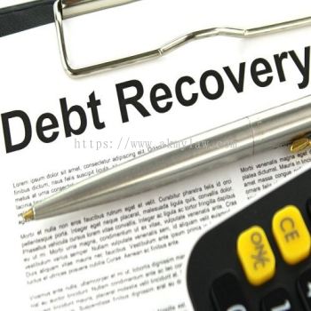 Debt Recovery English Version