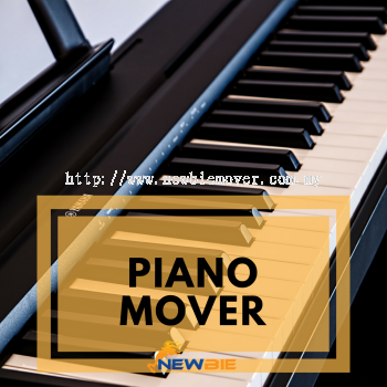 Piano Move Services