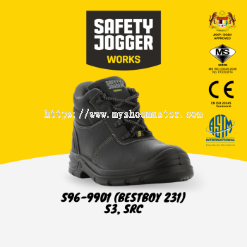 S96-9901 (BESTBOY 231)