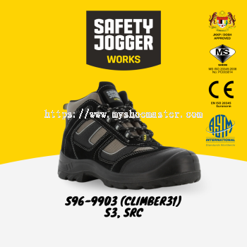 S96-9903 (CLIMBER31)