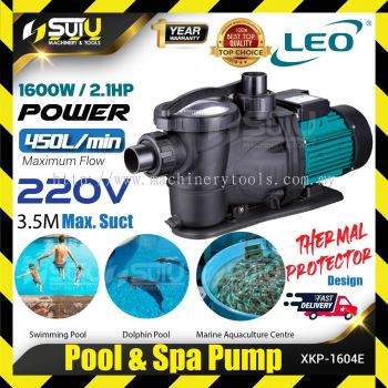 Pool & Spa Pump