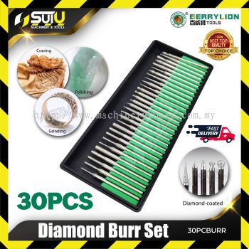 BERRYLION 30PCS Diamond Burr Set