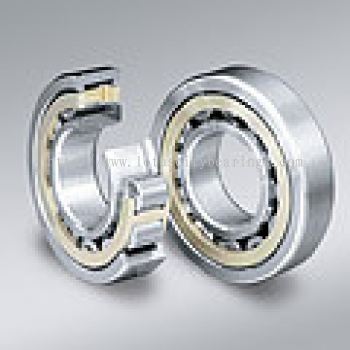 EM Series of Cylindrical Roller Bearings
