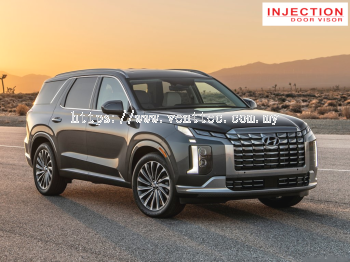 HYUNDAI PALISADE 2020 - ABOVE = INJECTION DOOR VISOR WITH STAINLESS STEEL LINING