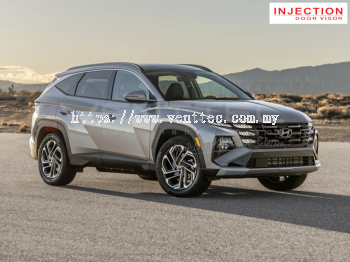 HYUNDAI TUCSON 2022 - ABOVE = INJECTION DOOR VISOR WITH STAINLESS STEEL LINING