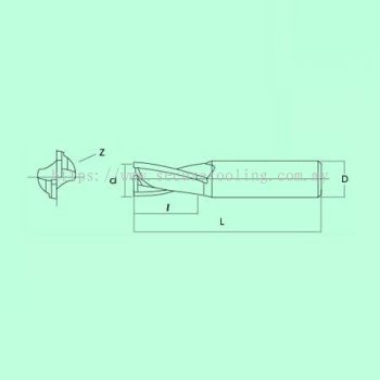 S.A.P S2009 SQUARE TYPE LONG SHANK – 2 4 Flutes