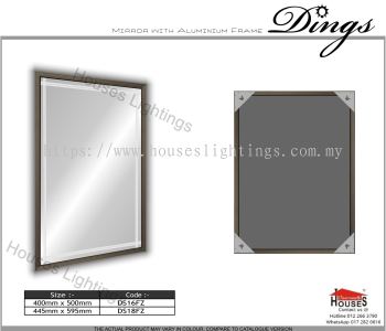 Mirror Dings DS18FZ