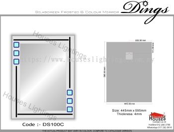 Mirror Dings DS100C