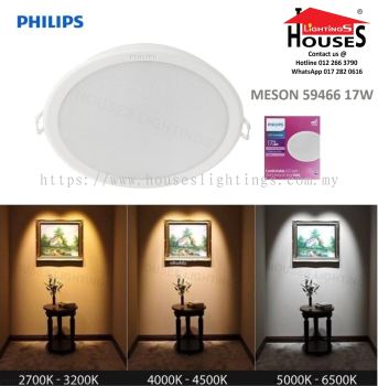 PHILIPS MESON 59466 17W