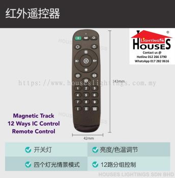 REMOTE CONTROL MAGNETIC TRACK 12 WAYS IC CONTROL