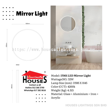 17001 LED Mirror Light