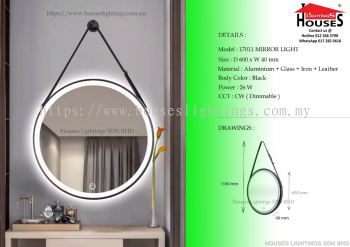 17011 LED Mirror Light