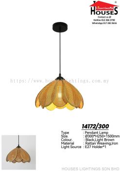 HANGING 14172-300