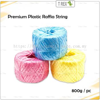 Premium Plastic Raffia String - 800g