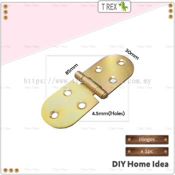 T Rex DIY 30mm x 85mm Furniture Hinge (Rainbow)