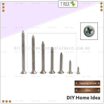 T Rex DIY Stainless Steel SUS304 CSK Self Tapping Screw