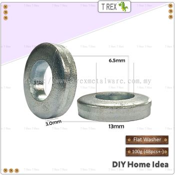 [100g] T Rex DIY 3mm x M6 x 13mm Flat Washer (48pcs+-) (Zinc)