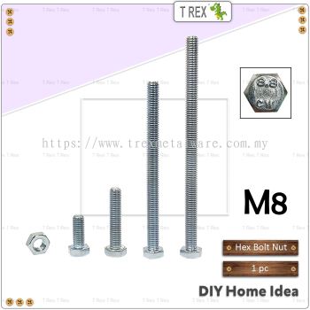 T Rex DIY M8 Hex Bolt & Hex Nut (Zinc)