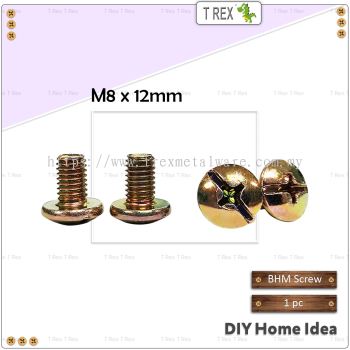 T Rex DIY M8 x 12mm Binding Head Machine Screw