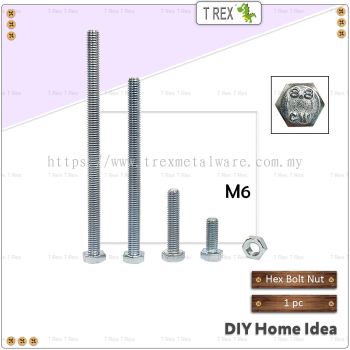 T Rex DIY M6 Hex Bolt & Nut (Zinc)