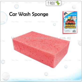 Arc En Ciel Car Wash Sponge