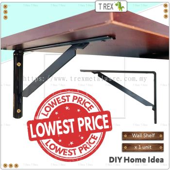 T Rex DIY Hero Black Coat Wall Mount Shelf Bracket