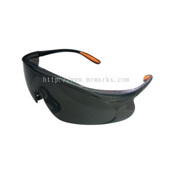 MK-SSE-925 WARRIOR SAFETY SPECTACLE