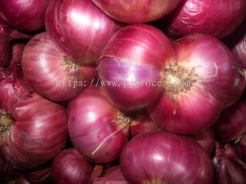 Bawang Besar (Onion)