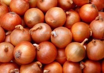 Bawang Holland (Yellow Onion)
