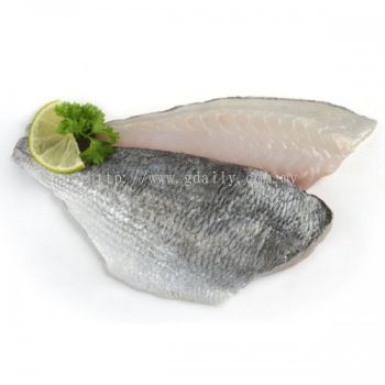 Frozen Red Sea Bream Fillet