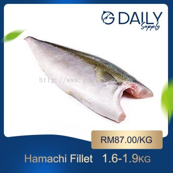 Hamachi Fillet (Japan)