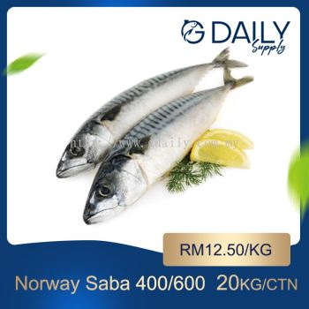 Norway Saba Fish