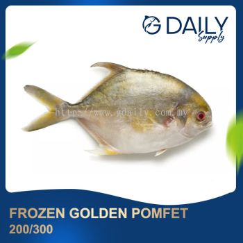 Golden Pomfret 200/300