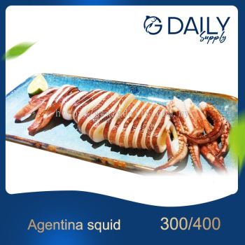 Argentina Squid IQF