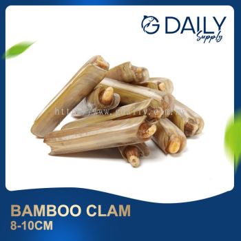 Bamboo Clam