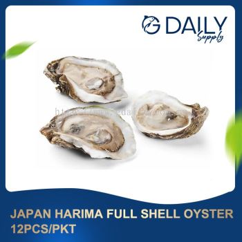 JAPAN Harima Full Shell Oyster