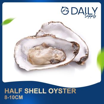 Half Shell Oyster 8-10cm