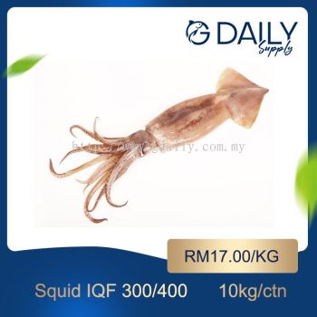 Squid IQF 300/400