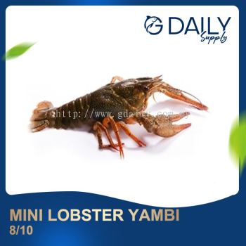 Mini Lobster Yambi 8/10