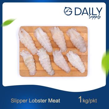 Slipper Lobster Meat