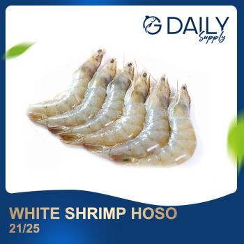 White Shrimp HOSO 21/25