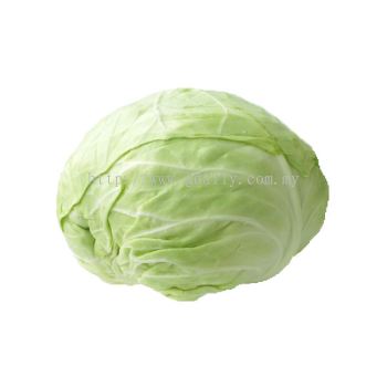 Cabbage